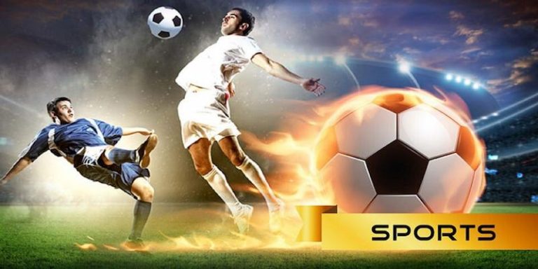STAKE BR Descubra o vibrante mundo dos esportes online em